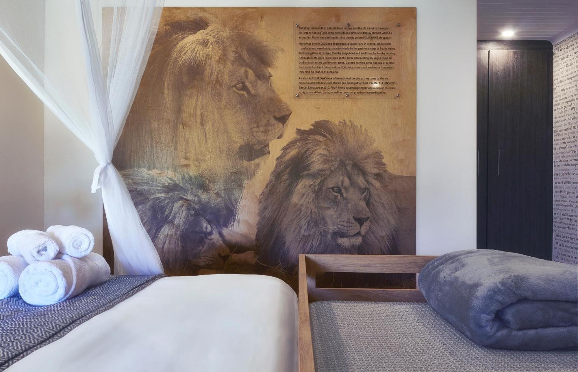 Villa Lionsrock Big Cat Sanctuary à Bethlehem Extérieur photo